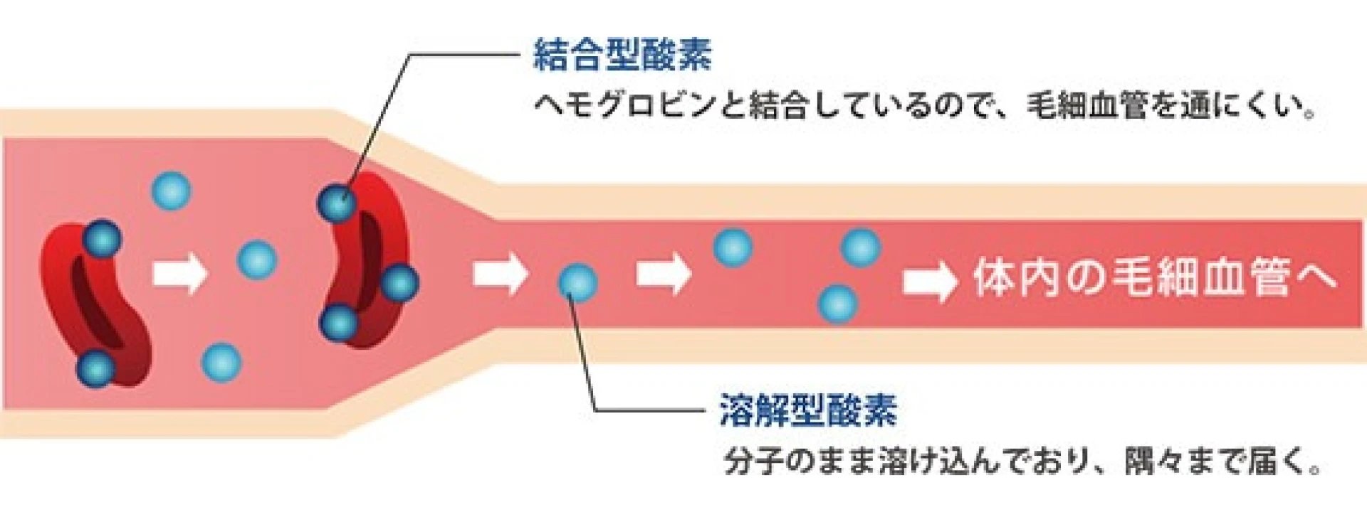 高気圧・高濃度酸素がもたらす酸素カプセルの実力